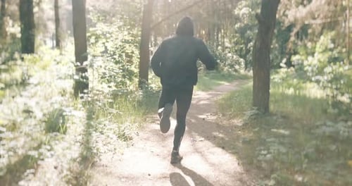Slow Motion Shot of Man Running Through Pine Forest on Path in Woods. Runner Training Fitness and