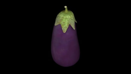 Rotating 3D Eggplant Vegetable Loop for Food and Cooking Projects