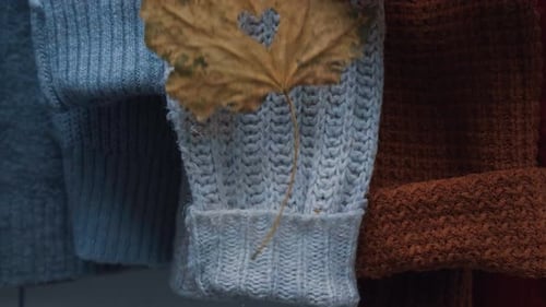 Herbst-Konzept