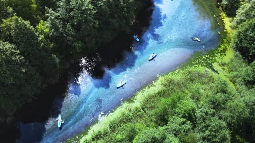 Stand up paddle boarders floating on the water. Active recreation on the lake
