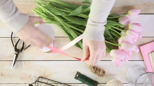 Arranging Pink Tulips and Ribbon for Bouquet