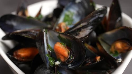 Cooked Mussels in White Bowl Close Up