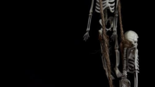 Hanging By the Throat Toy Skeletons on a Black Background Halloween Decor