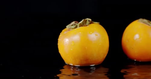 Whole Persimmon Falls To the Water with a Splash.