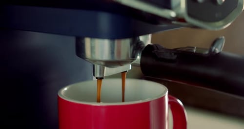 Espresso Preparation Home Making Hot Espresso Arabica Coffee of the Highest Quality with a
