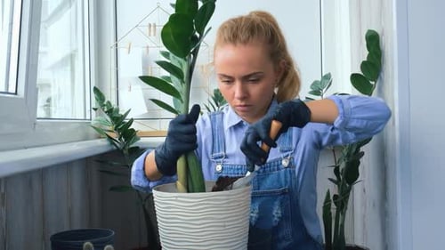 Woman Transplants Houseplant on Balcony