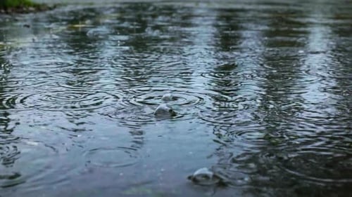 Regen