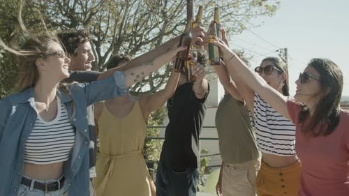 Friends Toasting with Beer on Sunny Day