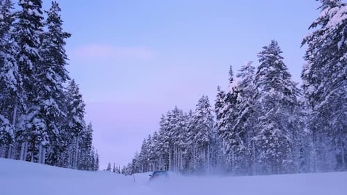 Lone Car on a Winter Forest Road