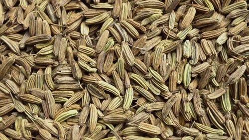 Rotation Fennel Fruits