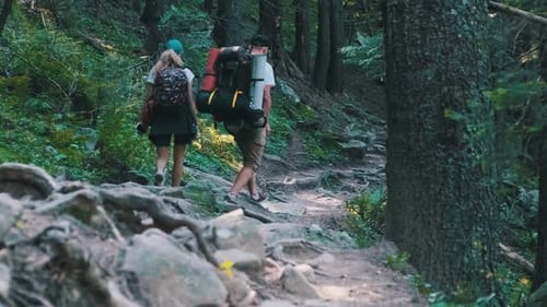 Couple of Tourists with Backpacks Climbing Up on Stone Trail in Mountain Forest