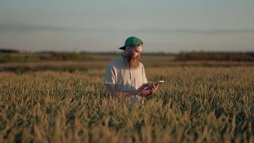 Man Uses Tablet in Golden Wheat Field