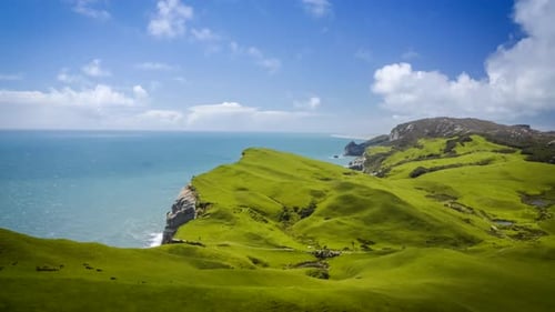 New Zealand coastline
