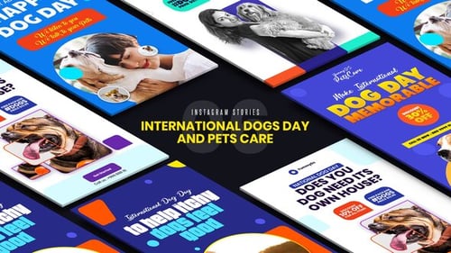 Dynamic Instagram Story Templates for Pet Care and Dog Day Promotions