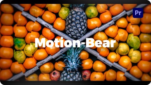 Modern Dynamic Logo Reveal Opener