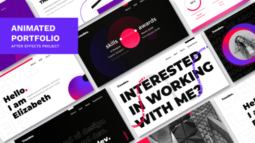 Portfolio Presentation