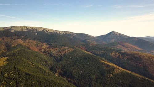 Vue aérienne du paysage montagneux d'automne avec des pins à feuilles persistantes et une forêt d'automne jaune avec