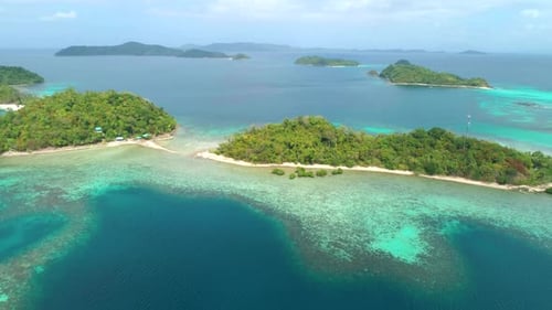 Aerial View of a Tropical Island with Palm Trees and White Sand Beaches. Amazing Tropical Island in