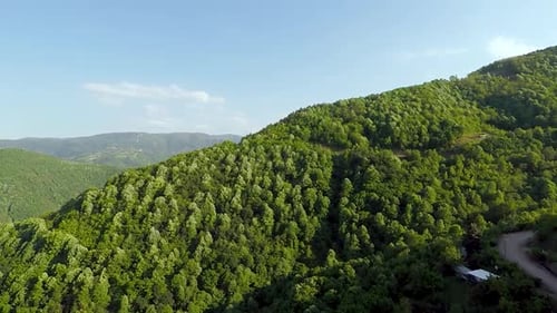 Aerial Mountain and Forest