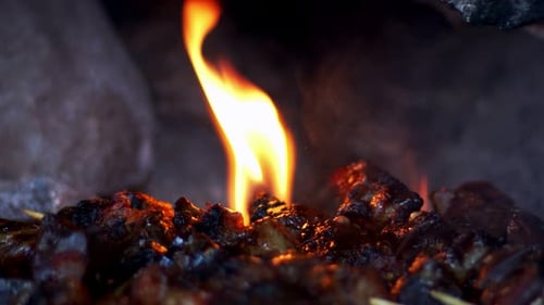 Meat Skewers Cooking on Flames