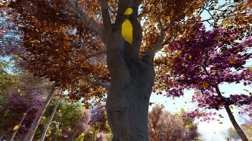 Folhas caídas caem do bosque no outono