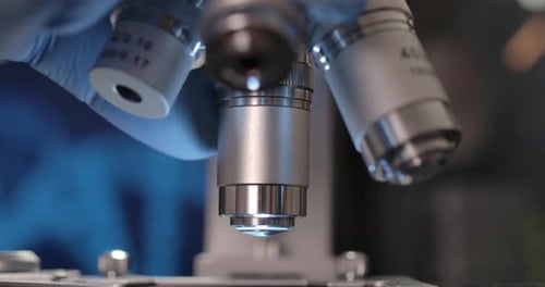 Tête de microscope