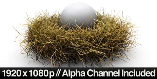 Nestei-Konzept mit Alpha-Kanal