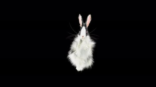 Animated Hand-Drawn Rabbit Stands and Wiggles
