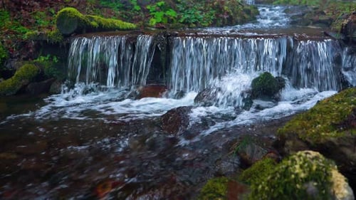 Picturesque Mountain River Close Up