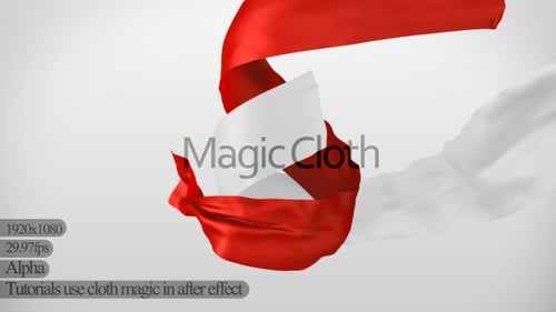 Elegant Fluid Fabric Reveal Animation