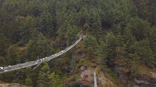 Hillary Bridge With Yaks And Tourists in Nepal