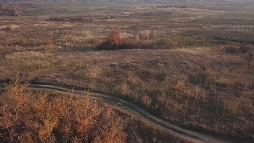 Aerial View of Open Field in Countryside
