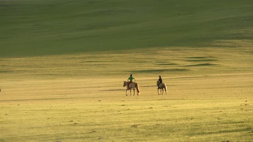 Horses and Riders in a Rural Grassy Plain