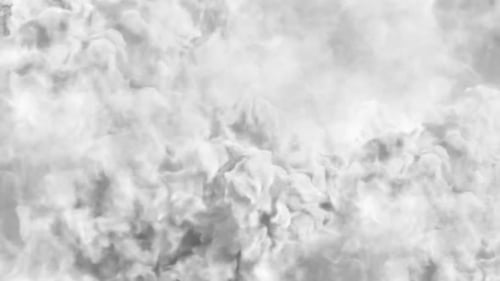 Dynamic Fluid White Smoke Motion Background Loop