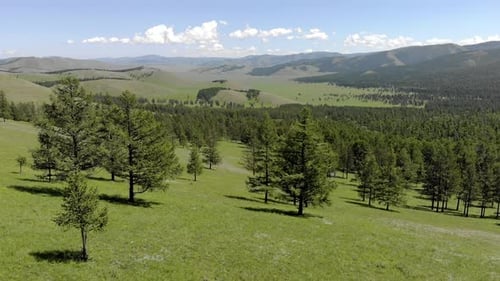 Grüne Wiesen in den spärlich bewaldeten zwischen waldbedeckten Hügeln mit Luftaufnahme