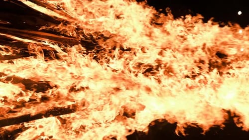 Vertikales Video Bonfire brennt nachts auf einem schwarzen Hintergrund auf der Natur
