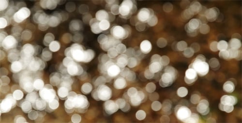 Abstract Shimmering Sunlight Reflections on Water