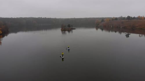 Drone Shot of Man and Woman on Sup Paddle Boards at Wide River on Golden Autumn Forest Background