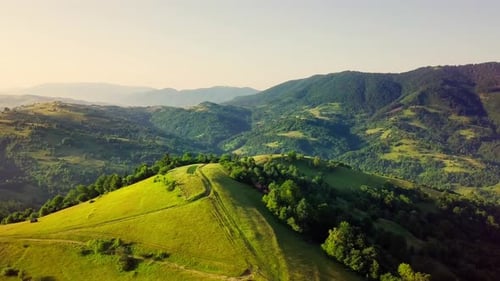 Aerial View of the Endless Lush Pastures of the Carpathian Expanses and Agricultural Land