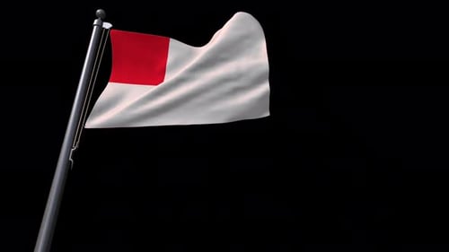Realistic Waving Flag with Red and White Design
