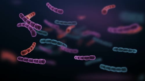 Floating Microscopic Bacteria Cells in Dark Medical Background