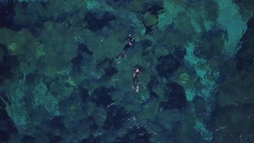 Aerial View of Snorkelers Exploring Clear Ocean Water