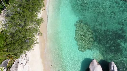 Beautiful Tropical Beach Aerial a Bird's Eye View of Ocean Waves Crashing Against an Empty Beach