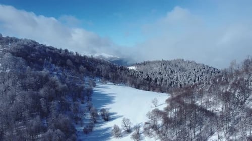 Luftaufnahme des verschneiten Waldes von der Drohne