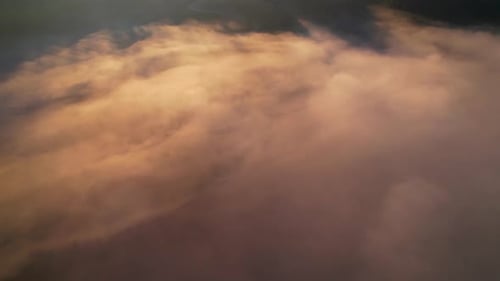 4K Aerial view of the misty sunrise in the forest.