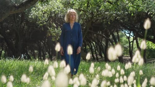 Woman Walking Peacefully Through Meadow in Sunlight