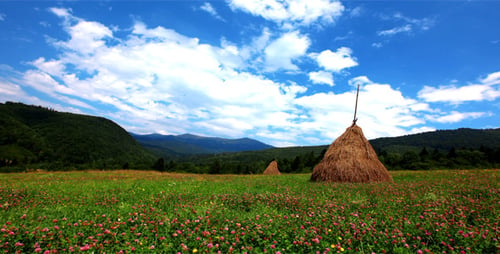 Summer Landscape