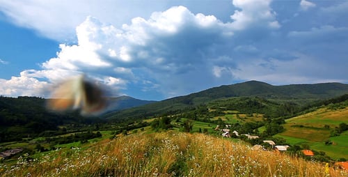 Rolling Green Hills and Mountains with White Wildflowers