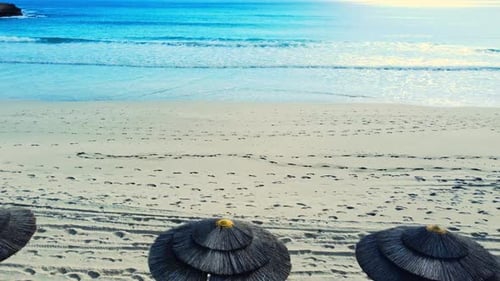 Holidays and Vacations on the Sea Coast Aerial View of Umbrellas at Sandy Beach Sunny Weather