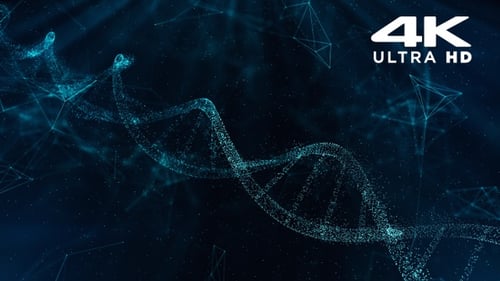 DNA - Partikel